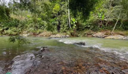 Chácara / sítio à venda na Zona Rural, Apiúna  por R$ 750.000