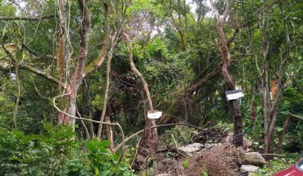 Terreno - Praia da Solidão - Florianópolis - SC