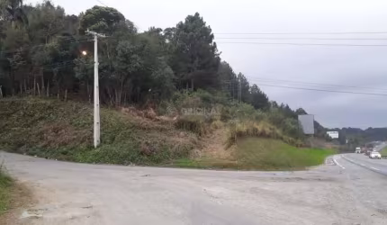 Area de terreno a venda .