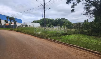 Terreno a venda.