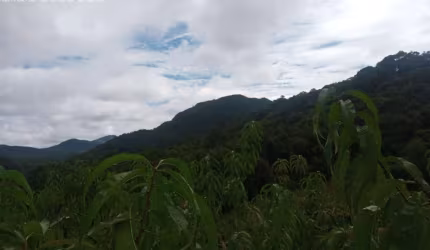 Chácara para Venda em Centro Campo Largo-PR