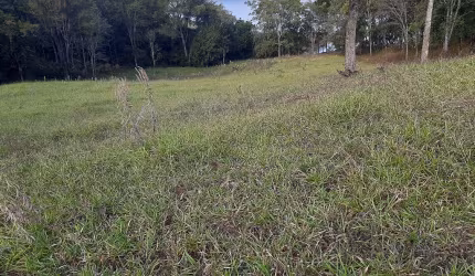 Sítio Municipio de Nova Ponte 1,068 Alqueires, na Beira da Represa