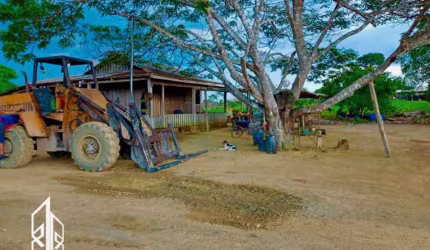 Fazenda com 84 alqueires (200 hectares)