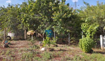Terreno à venda, 1000 m² por R$ 180.000,00 - Conjunto Habitacional Jamile Dequech - Londrina/PR