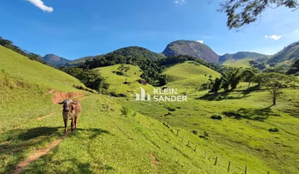 Fazenda Maravilhosa à venda, 41,25 alqueires (fluminense) por R$ 2.850.000 - Centro (Visconde de Imbé) - Trajano de Moraes/RJ