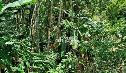 Terreno à venda, 1870 m² por R$ 250.000,00 - Ponte da Saudade - Nova Friburgo/RJ