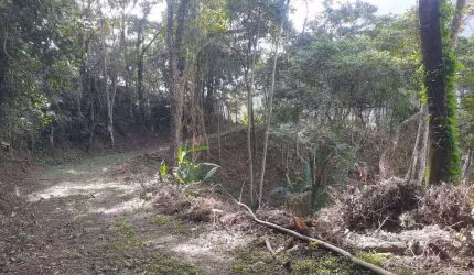 Terreno à venda, 7400 m² por R$ 1.500.000,00 - Cônego - Nova Friburgo/RJ