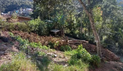 Terreno à venda, 366 m² por R$ 140.000,00 - Ponte da Saudade - Nova Friburgo/RJ