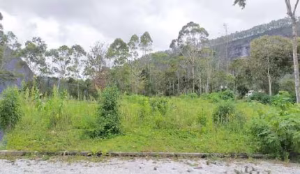 Terreno à venda, 2000 m² por R$ 480.000,00 - Parque São Clemente - Nova Friburgo/RJ