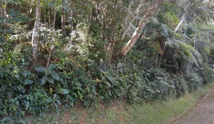 Terreno à venda, 2345 m² por R$ 320.000,00 - Mury - Nova Friburgo/RJ