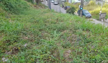 Terreno à venda, 400 m² por R$ 250.000,00 - Cônego - Nova Friburgo/RJ