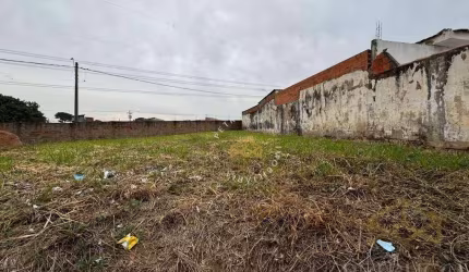 Terreno Comercial para locação, Cidade Satélite Íris, Campinas - TE0290.
