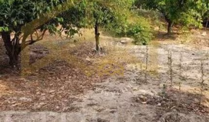 Terreno Residencial à venda, Recreio Campestre Internacional Viracopos II, Indaiatuba - TE0708.