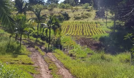 Terreno Residencial à venda, Jardim Maracanã, Atibaia - TE0825.