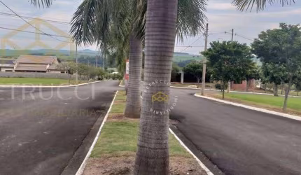 Terreno Residencial à venda, Centro, São Pedro - TE0999.