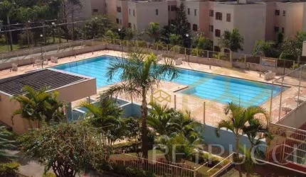 Apartamento Residencial à venda, Jardim García, Campinas - AP5787.