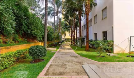 Apartamento Residencial à venda, Jardim Dom Vieira, Campinas - AP7400.