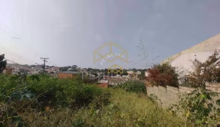 Terreno Comercial à venda, Parque São Quirino, Campinas - TE2769.