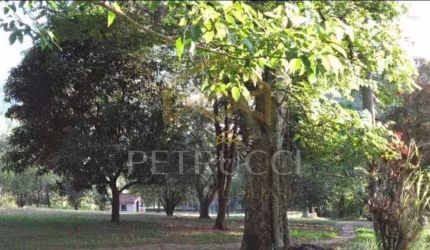 Área Comercial à venda, Chácaras São Martinho, Campinas - AR0130.
