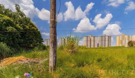 Terreno Residencial à venda, Jardim dos Calegaris, Paulínia - TE3659.