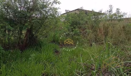Terreno Residencial à venda, Cidade Universitária, Campinas - TE3924.