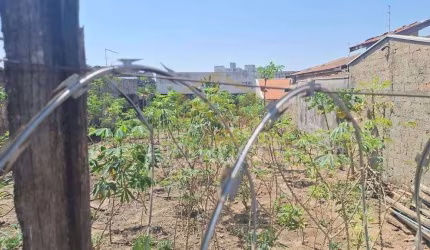 Terreno Residencial à venda, Jardim das Palmeiras, Sumaré - TE4163.