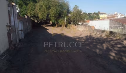 Terreno Residencial à venda, Vila Marieta, Campinas - TE1776.