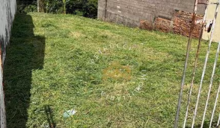 Terreno à venda, 280 m² por R$ 286.000,00 - Vila Manoel Ferreira - Campinas/SP