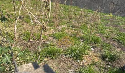 Terreno em Localização Estratégica – Av. São Judas Tadeu