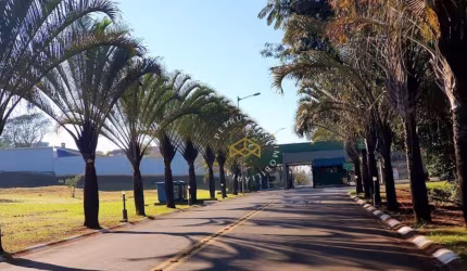 Terreno à venda, 593 m² por R$ 450.000,00 - Jardim Calegaris - Paulínia/SP