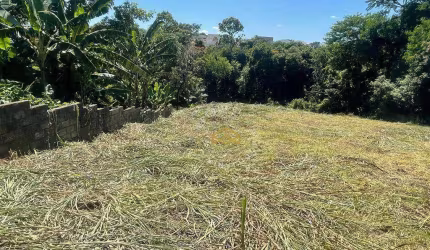 Área à venda, 2334 m² por R$ 8.000.000,00 - Mansões Santo Antônio - Campinas/SP