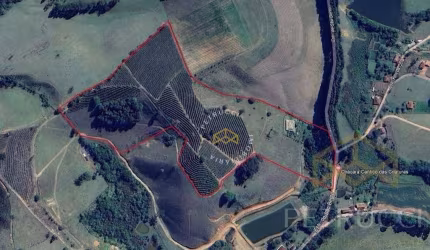 Sítio com 2 dormitórios à venda, 193600 m² por R$ 2.200.000,00 - Bairro Servinho - Ouro Fino/MG