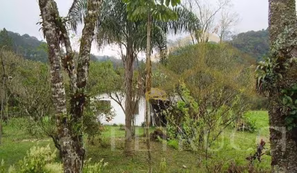Sítio com 4 dormitórios à venda, 50000 m² por R$ 2.000.000,00 - Vila Moraes - Mogi das Cruzes/SP