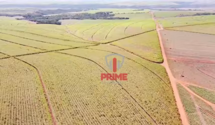 Fazenda à venda no município de Porecatu no Paraná. Com 396,43 alqueires atualmente plantando 300 alqueires de cana e 24% de reserva.  Possui solo mis