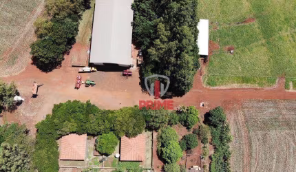 Fazenda à venda em Santa Zélia no Paraná. Com  254 alqueires sendo 180 de plantio, 10 alqueires de eulcalipto, Sede, barracão, 2600 sacas o alqueires.
