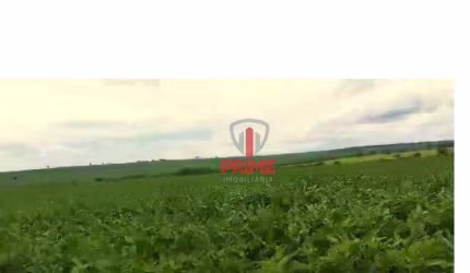 Fazenda à venda em Nova Alvorada do Sul no Mato Grosso do Sul.