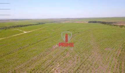 Fazenda em Paranacity com 168 alqueires, plaina, 150 alqueires de plantio.