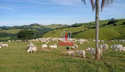 Fazenda à venda em Marquinho no Paraná.   - Com 119 alqueires, podendo mecanizar 20.