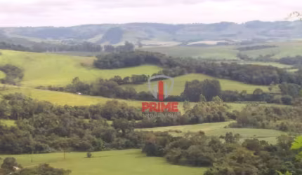 Fazenda à venda em Manoel Ribas no Paraná. Com 134 alqueires, sendo 30 alqueires de plantio, 74 alqueires de pasto formado no brizantão e colonhão, 14