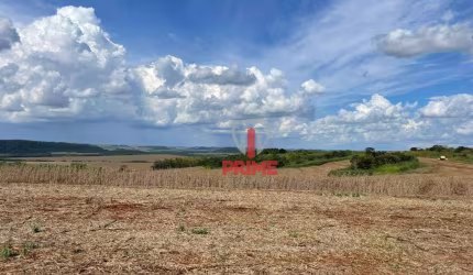 Fazenda à venda em Uraí no Paraná. Com 88 alqueires sendo 35 alqueires de plantio, 10 alqueires de pasto, 2 barracões, 2 casas de funcionários, 1 mang