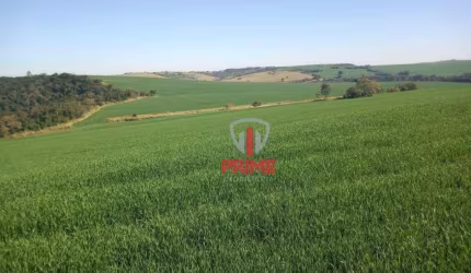 Fazenda à venda em Nova Fátima no Paraná. Com 55 alqueires, sendo 50 alqueires de plantio, terra roxa.   Entrada de 50% + 2 pagamentos.