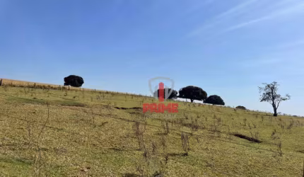 Fazenda à vista em Bela Vista do Paraíso no Paraná. Com 38 alqueires sendo 29 alqueires de plantio, 6Km do asfalto, casa nova, casa sede antiga, barra
