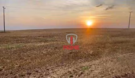Sitio à venda em Mauá da Serra no Paraná. Na beira da pista. Localização excelente, 100%  aproveitável. Reserva legal averbada na mesma bacia hidrogra