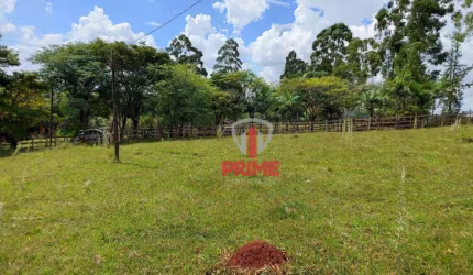 Sitio à venda em São Jeronimo da Serra no Paraná. 6 km da cidade. 32 alqueires em pasto Casa sede.