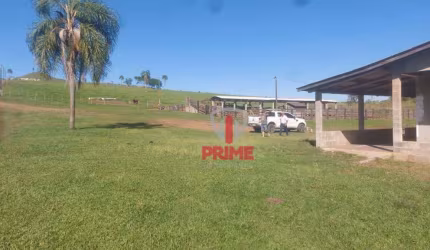 Fazenda à venda em Candido de Abreu no Paraná. A 12km do asfalto, formada em pasto.  R$ 22.000.000,00, entrada + 3 pagamentos. Estuda permuta em imove