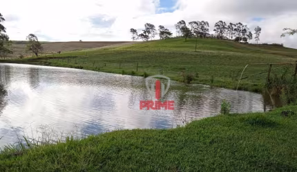 Sítio à venda em Bela Vista do Paraiso no Paraná.   - Com 9 alqueires, 6 alqueires de plantio. - 30 km de londrina