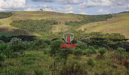 Fazenda à venda em Castro no Paraná. Com 169 alqueires sendo 90 alqueires pasto, 12 alqueires é de lavoura, mangueira , 2 casas, boa de água.  Fica a