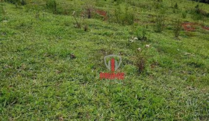 Sitio à venda em Cândido de Abreu no Paraná.   - 10 alqueires.