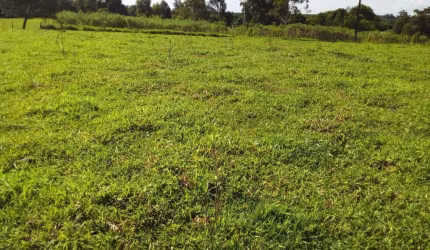 Sitio à venda em Reserva no Paraná.  - 5 alqueires.