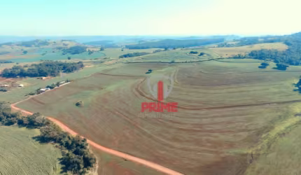 Fazenda à venda em Santo Antônio da Platina no Paraná. Com  57,20 alqueires sendo 48,00 alqueires, barracão, casa sede, casa de funcionário.  R$ 14.50